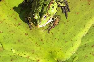 Property thumbnail 11