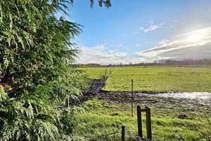 immo-schramm.de: Resthof mit Stall und Weideland, Einzellage – Osterholz (Kreis) – Vorschaubild 10