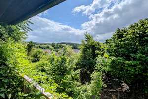 Seltenheit: Einfamilienhaus auf 907m² Baugrundstück – riesen Potenzial 10min von Köln/Bonn – Rhein-Sieg-Kreis – Vorschaubild 14
