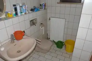 Freistehendes EFH mit vielen Möglichkeiten auf traumhaftem Grundstück! – Mühldorf am Inn (Kreis) – Vorschaubild 5