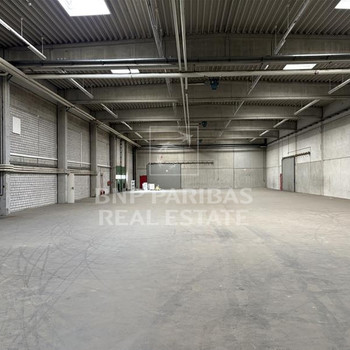 HALLENFLÄCEH | RAMPE | EBENERDIG | 8,00 M UKB