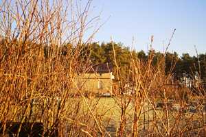 Leben wie im Urlaub- Einzigartiges  Haus am Voßkanal – Oberhavel (Kreis) – Vorschaubild 2