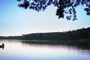 Schönes Ferienhaus in Wassernähe incl. Bootsliegeplatz! – Oberhavel (Kreis) – Vorschaubild 1
