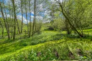 Historische Wassermühle am Lüßbach - einzigartiges Refugium auf 2.678 m² bei Berg – Manthalstr. 2, 82335 Berg – Vorschaubild 18