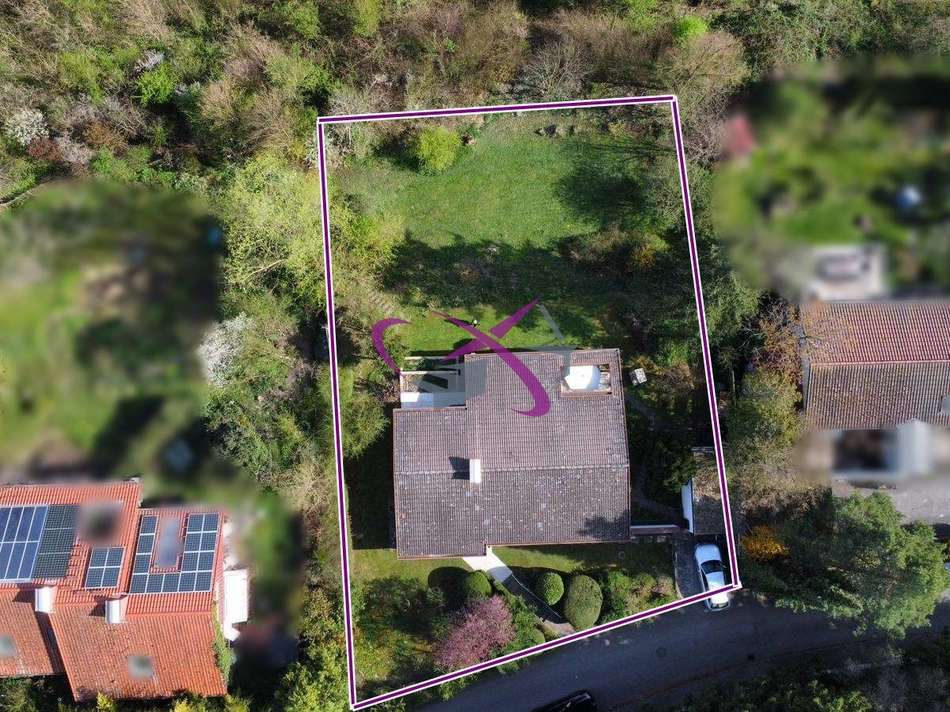 MERZ Immobilien Holding Tübing