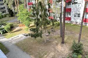 Attraktive, helle 2 Zimmer Wohnung in Röthenbach – gute Anbindung und sofort einziehbar – Die vollständige Adresse der Immobilie erhältst du vom Anbieter., 90552 Röthenbach an der Pegnitz – Vorschaubild 10