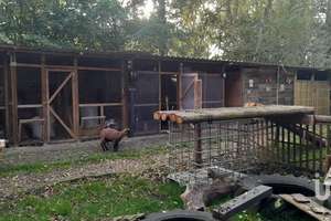 "Ein Landhaus mit Persönlichkeit – gemütlich, charmant und modernisiert, stilvoll ins Heute geführt" – Die vollständige Adresse der Immobilie erhältst du vom Anbieter., 26826 Weener – Vorschaubild 31