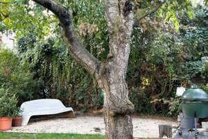 Freistehendes Haus in Lichterfelde, mit eigenem Garten - möbliert -befristet zu mieten – Steinmetzstraße 17, 12207 Lichterfelde, Berlin – Vorschaubild 8