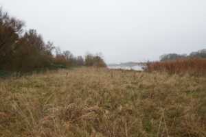 21781 Geversdorf: Ehemaliges Wohnhaus auf 22077 m² mit Bauplätzen am Ostedeich – Cuxhaven (Kreis) – Vorschaubild 9