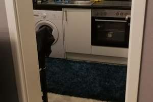 Zwei Zimmer in Oberkochen: Wohnung mit Balkon und Stellplatz – Jenaer Straße 6, 73447 Oberkochen – Vorschaubild 6