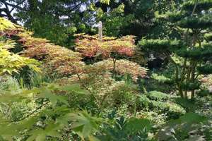 Villa mit 255qm und ELW mit 3966qm Garten in Ortsrandlage – Die vollständige Adresse der Immobilie erhältst du vom Anbieter., 72178 Waldachtal – Vorschaubild 71