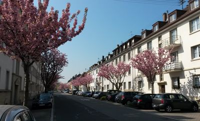 3-Zimmer-Wohnung im Hochparterre in KA Weiherfeld