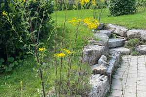 Besondere Immobilie aus zwei Häusern mit großem Garten im grünen Herzen 0bersontheims – Gaildorfer Straße 17, 74423 Schwäbisch Hall (Kreis) – Vorschaubild 25