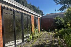 Seltene Courtyard Residence in Köln-Müngersdorf mit Potenzial zur individuellen Neuinterpretation. – Die vollständige Adresse der Immobilie erhältst du vom Anbieter., 50933 Müngersdorf, Köln – Vorschaubild 7