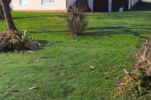 Mehrgenerationenhaus, ausbaufähig, von privat – Die vollständige Adresse der Immobilie erhältst du vom Anbieter., 85296 Rohrbach – Vorschaubild 5