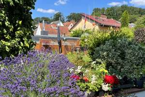 DER SOMMER KANN KOMMEN! GEPFLEGTES ZWEIFAMILIENHAUS MIT VIEL PLATZ – Die vollständige Adresse der Immobilie erhältst du vom Anbieter., 65207 Rambach, Wiesbaden – Vorschaubild 5
