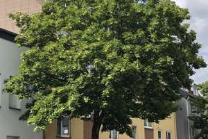 Ronsdorf, von privat,  hübsche 2-Zimmer-Wohnung