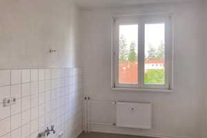 Fleißige Maler gesucht – Mühlweg 11, 12587 Berlin – Vorschaubild 5