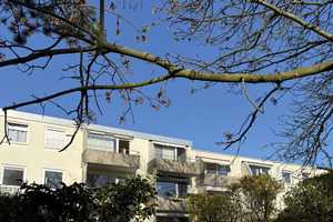 Sonnige 3-Zimmer-Eigentumswohnung mit Balkon in gepflegtem Mehrfamilienhaus -ruhig und zentral – Hannover – Vorschaubild 22