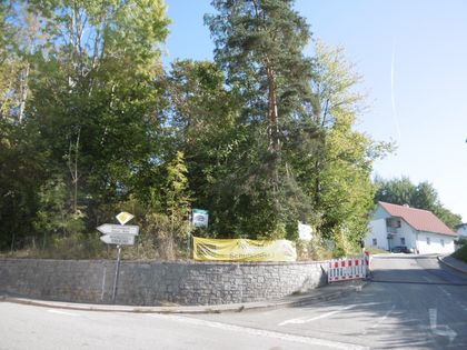 Single frauen grafenau