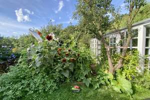 Energetisch saniertes Familienhaus mit separatem Studio, Naturgarten & Waldrandlage – Die vollständige Adresse der Immobilie erhältst du vom Anbieter., 29225 Celle – Vorschaubild 29