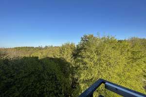 Ostsee, dem Himmel ein Stück näher, toller Ausblick, 2 Wohnungen – Sandwighof 26, 24960 Glücksburg (Ostsee) – Vorschaubild 3