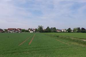 Helle 3-4 Zimmer DG-Maisonette-Wg. MA-Friedrichsfeld-Richtg. Heidelberg -teilrenoviert- Kaufoption! – 68229 Friedrichsfeld, Mannheim – Vorschaubild 10