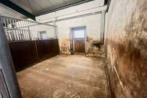 "Idyllischer Resthof in Alleinlage: Tolles Anwesen mit Hofladen, Reitplatz! – Emsland (Kreis) – Vorschaubild 54