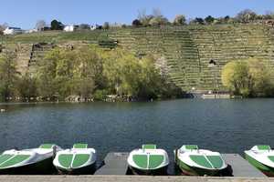 Property thumbnail 35