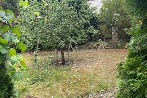Freistehendes Haus mit ca. 200 m² und großem Garten – ideal für Kita oder Kinderprojekte – 12305 Lichtenrade, Berlin – Vorschaubild 19