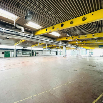 Lagerhalle in Duisburg | Parkplätze vorhanden | sofort bezugsfertig | RUHR REAL