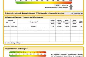 Herrschaftliches Anwesen im Louisa Park – 60598 Sachsenhausen-Süd, Frankfurt am Main – Vorschaubild 33