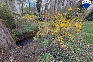 Charmanter Bungalow als 1–2 Familienhaus + UG. Toplage am Bachlauf & im Zentrum von Bad Oeynhausen! – Minden-Lübbecke (Kreis) – Vorschaubild 7