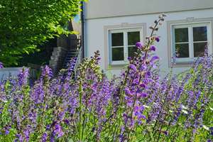 Großzügiges Haus mit 244 m² Wohnfläche in Steindorf – Auf der Draad 19a, 82297 Steindorf – Vorschaubild 3