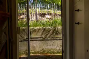 Anders. Herzlich. Ein Zuhause mit Ziegen+vielen Möglichkeiten in Stierbach, provisionsfrei f. Käufer – Odenwaldkreis – Vorschaubild 16