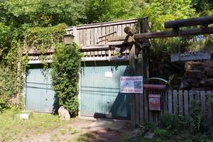 Erholung pur im Pfälzerwald! Idyllisches Wochenendhaus in Frankenstein (Pfalz) – Schliertal 22, 67468 Frankenstein – Vorschaubild 21