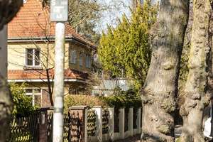 HOMESK - Großzügiges Wohnen mit Stil: Reihenmittelhaus, Wintergarten und Garten in Lichterfelde-West – Berner Straße 39 A, 12205 Lichterfelde, Berlin – Vorschaubild 68
