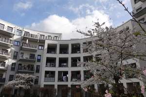 Property thumbnail 6