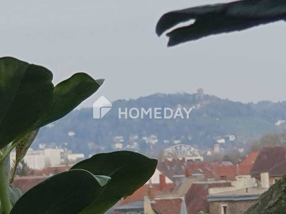 Der berühmte Turmbergblick...