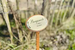 Neuwertiges Haus mit Naturgarten - Nachhaltigkeit und Luxus in Berlinnähe - Müncheberg! – Märkisch-Oderland (Kreis) – Vorschaubild 43