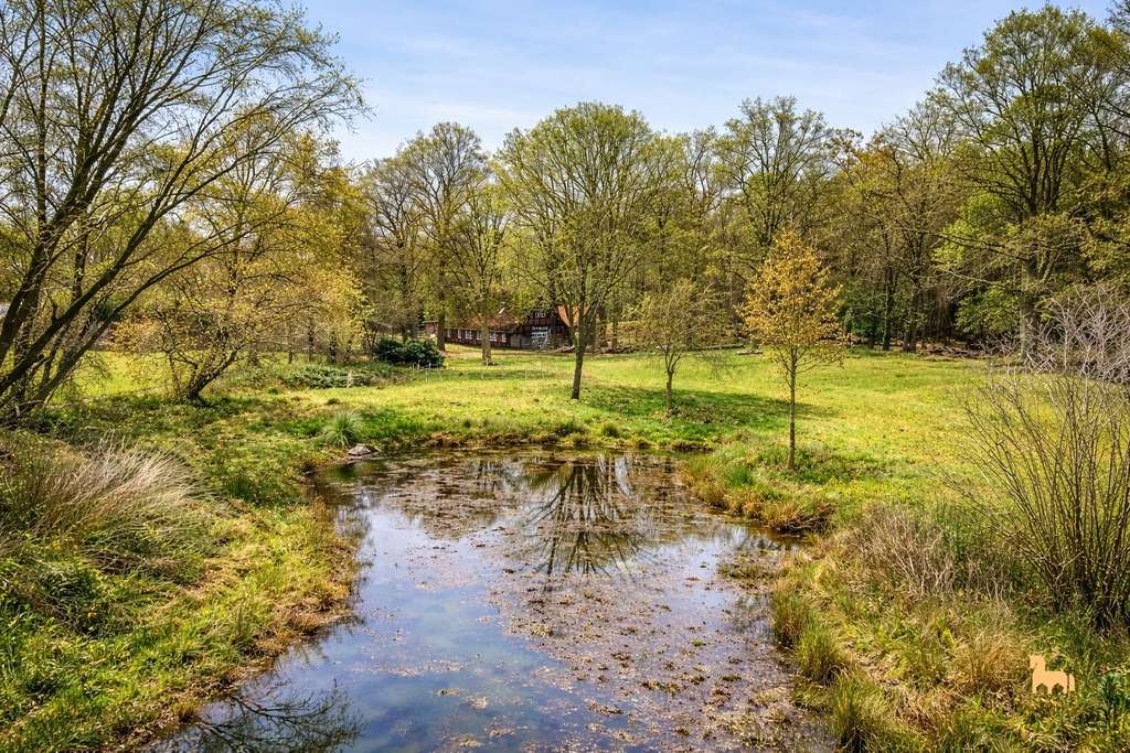 Immobilie in Berge - Außergewöhnliches Anwesen mit über 3 ha Grundbesitz - Bild 4