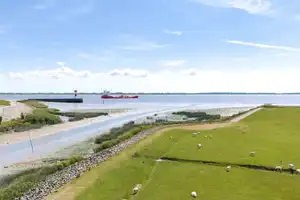 Elbe in Sicht | Zwei in Einem | Am Elbdeich – Dithmarschen (Kreis) – Vorschaubild 3