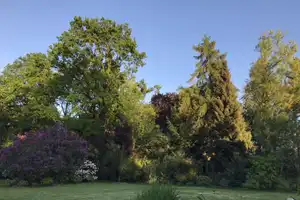 Mehrfamilienhaus-Hälfte mit großem Garten in Mülheim Heimaterde – Mülheim an der Ruhr – Vorschaubild 3