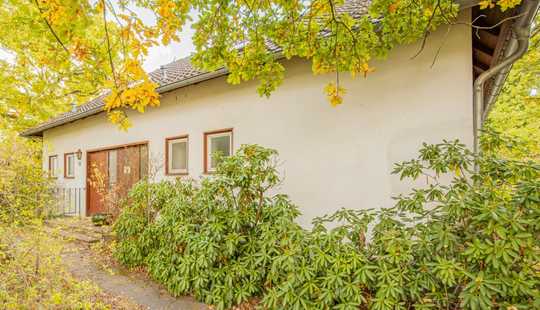 Bild von Großes Einfamilienwohnhaus - ruhige zentrale Lage in Gifhorn