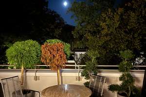 Property thumbnail 34