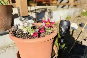 Neuwertiges Haus mit Naturgarten - Nachhaltigkeit und Luxus in Berlinnähe - Müncheberg! – Märkisch-Oderland (Kreis) – Vorschaubild 45