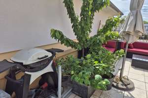 Property thumbnail 16