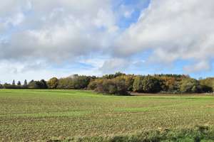 Ein Haus mit Herz – Familienidyll mit großem Potenzial in Köln-Lövenich