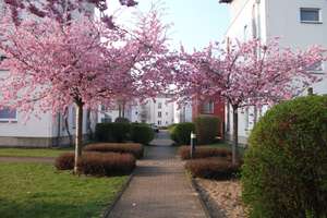 Wunderschöne Renovierte 2-Raum Wohnung – Wüllnerstraße 27, 1139 Mickten, Dresden – Vorschaubild 2