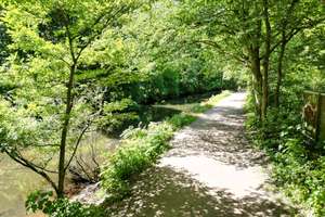 Ankommen. Durchatmen | Bungalow mit 4 Zimmer u. 110qm2 Wohnfläche | Naturparadies mitten in Hamburg. – Die vollständige Adresse der Immobilie erhältst du vom Anbieter., 22339 Hummelsbüttel, Hamburg – Vorschaubild 8